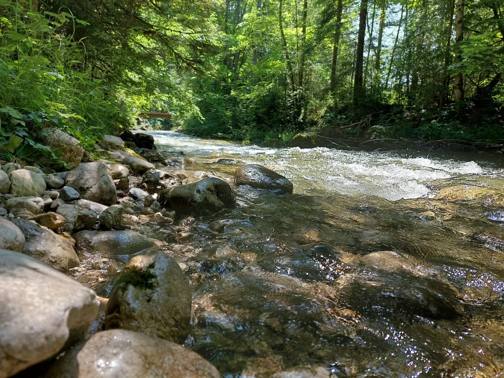 Creekside Bad Mitterndorf