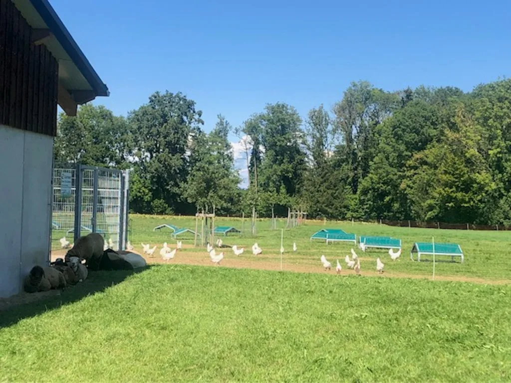 Biohof Stacher