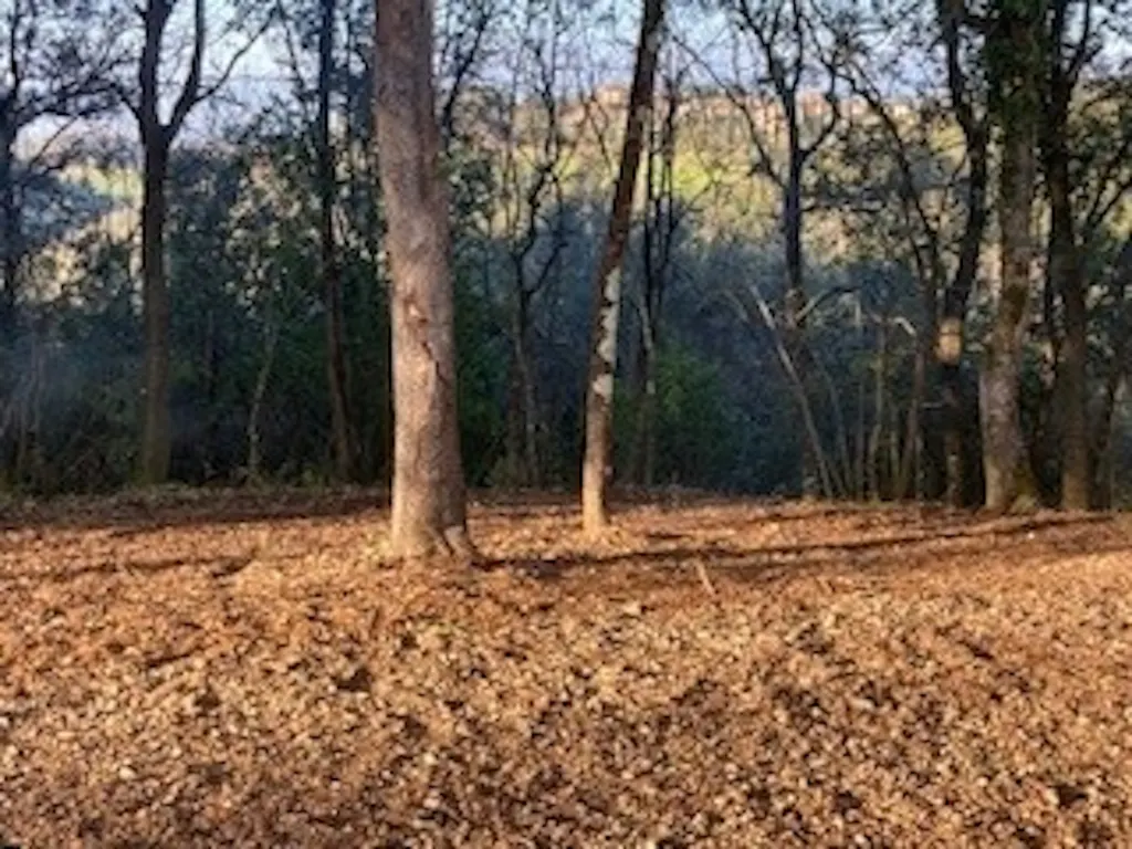 Camp Rasenna