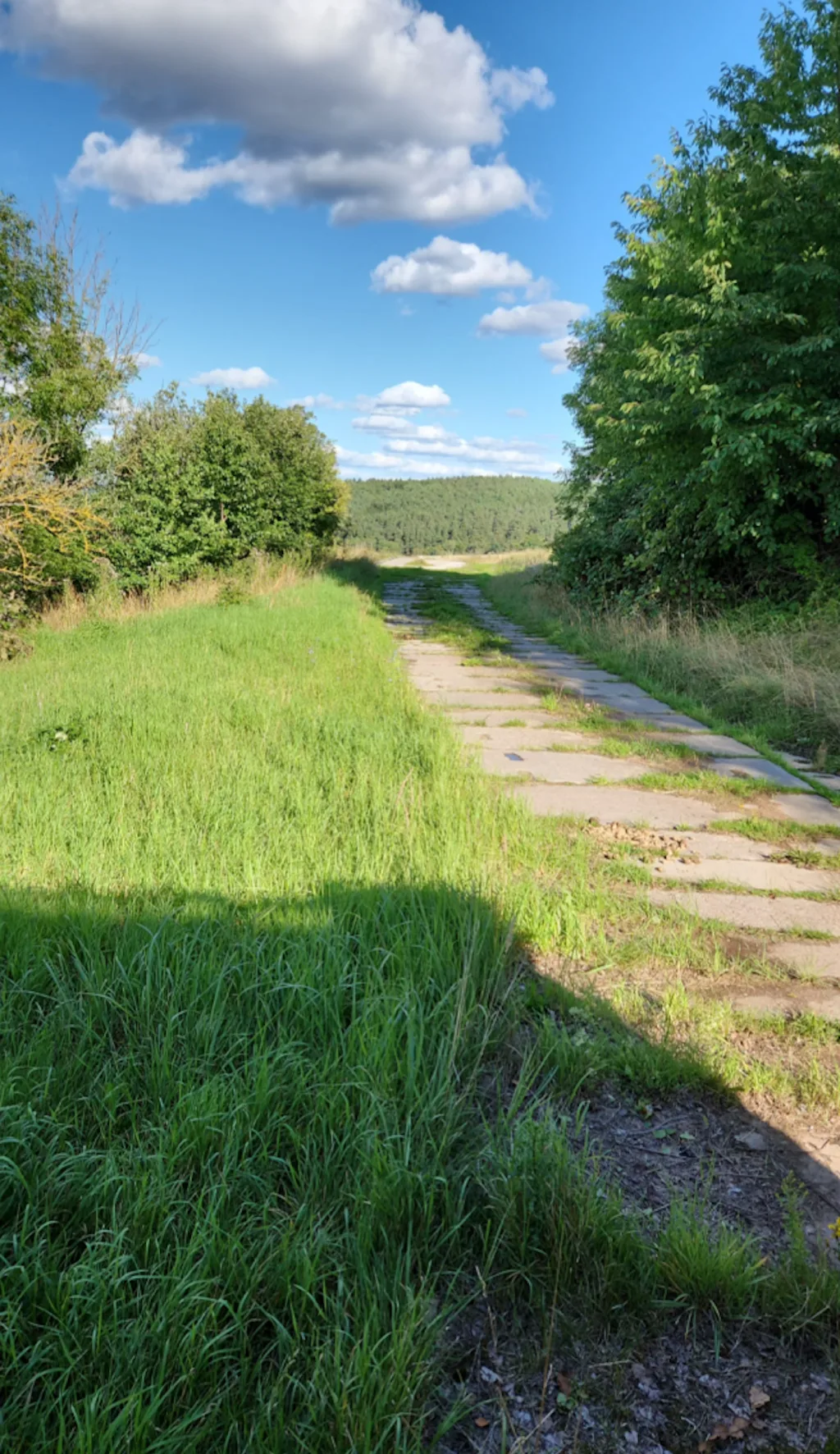 Stellplatz auf Reitanlage