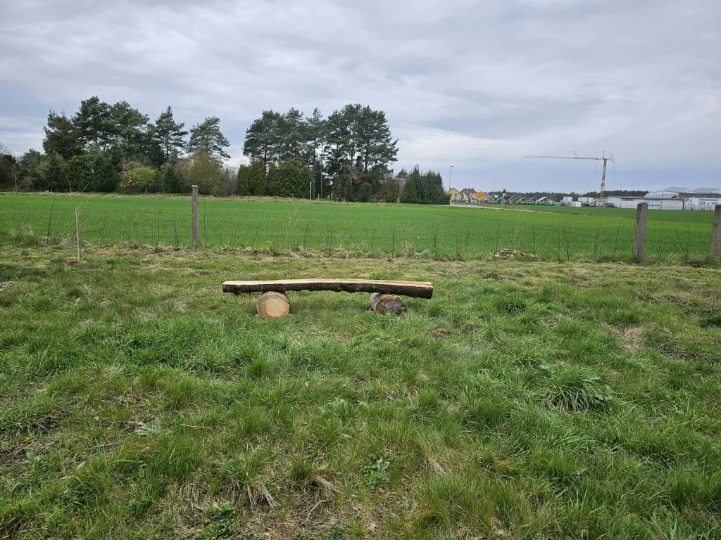 Wiese am Trinkwasserschutzgebiet