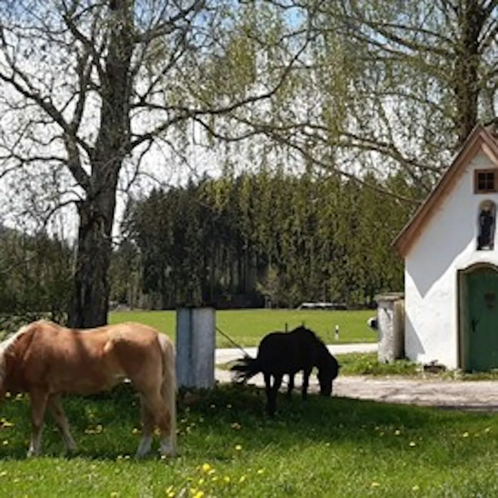 Beim Holzmann