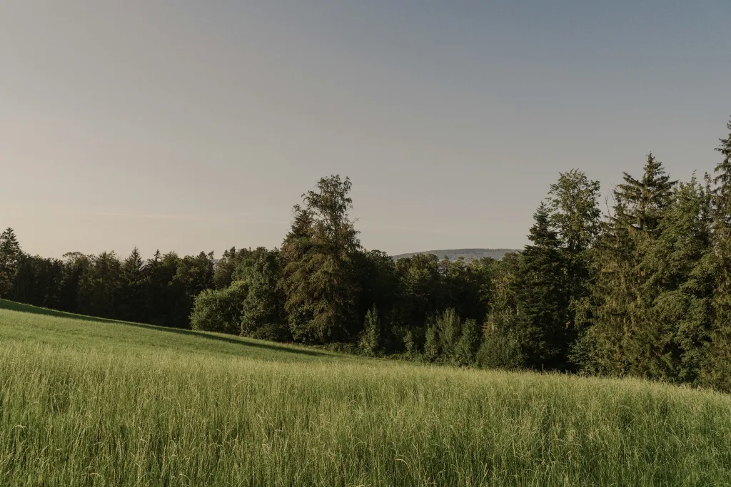 Camp Hofzurmatte