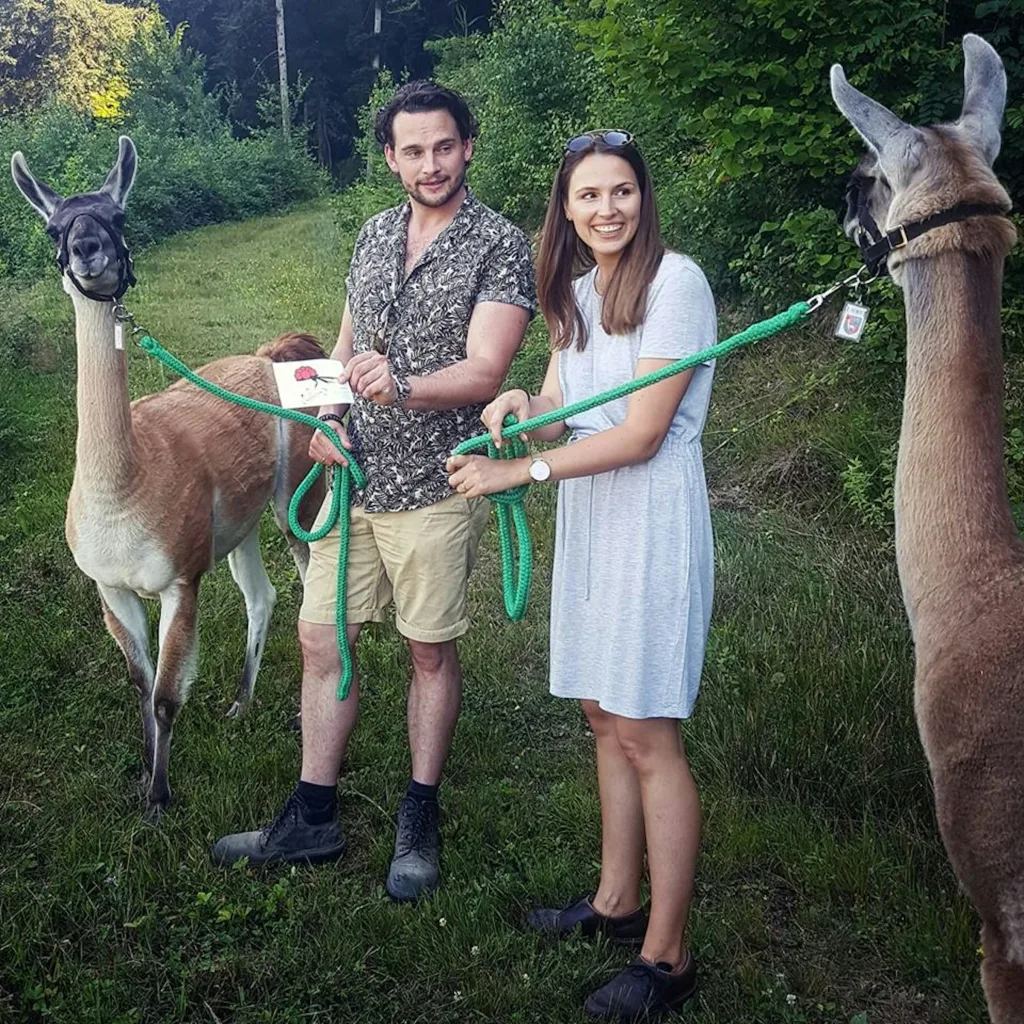 Camp - Schauinsland Lamas