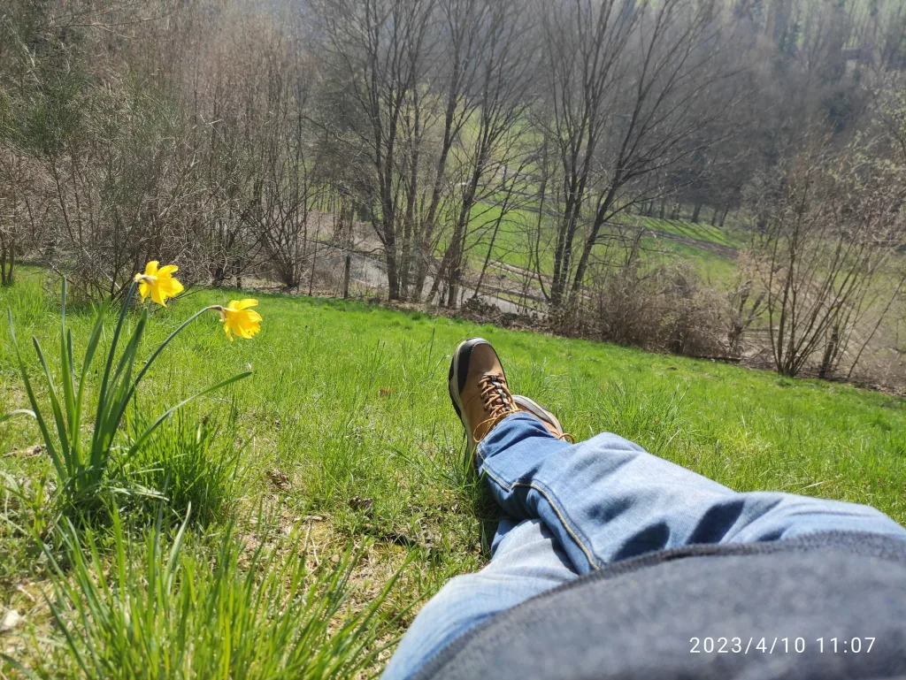 Hütte auf Wiesengrundstück im Wald