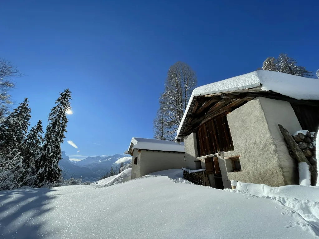 Hütte (Tinyhouse) bei Lohn GR