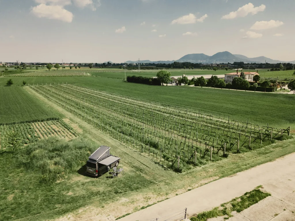 Villa Maffei Costalunga - Vigneto