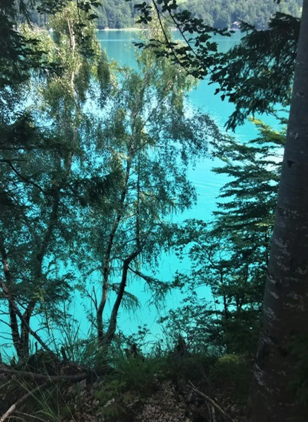 Smaragdfarbener Bergsee in der Nähe