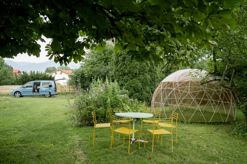 Wilder Garten mit Bergblick