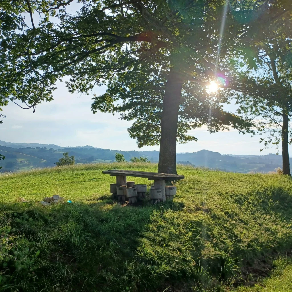 Oberhus