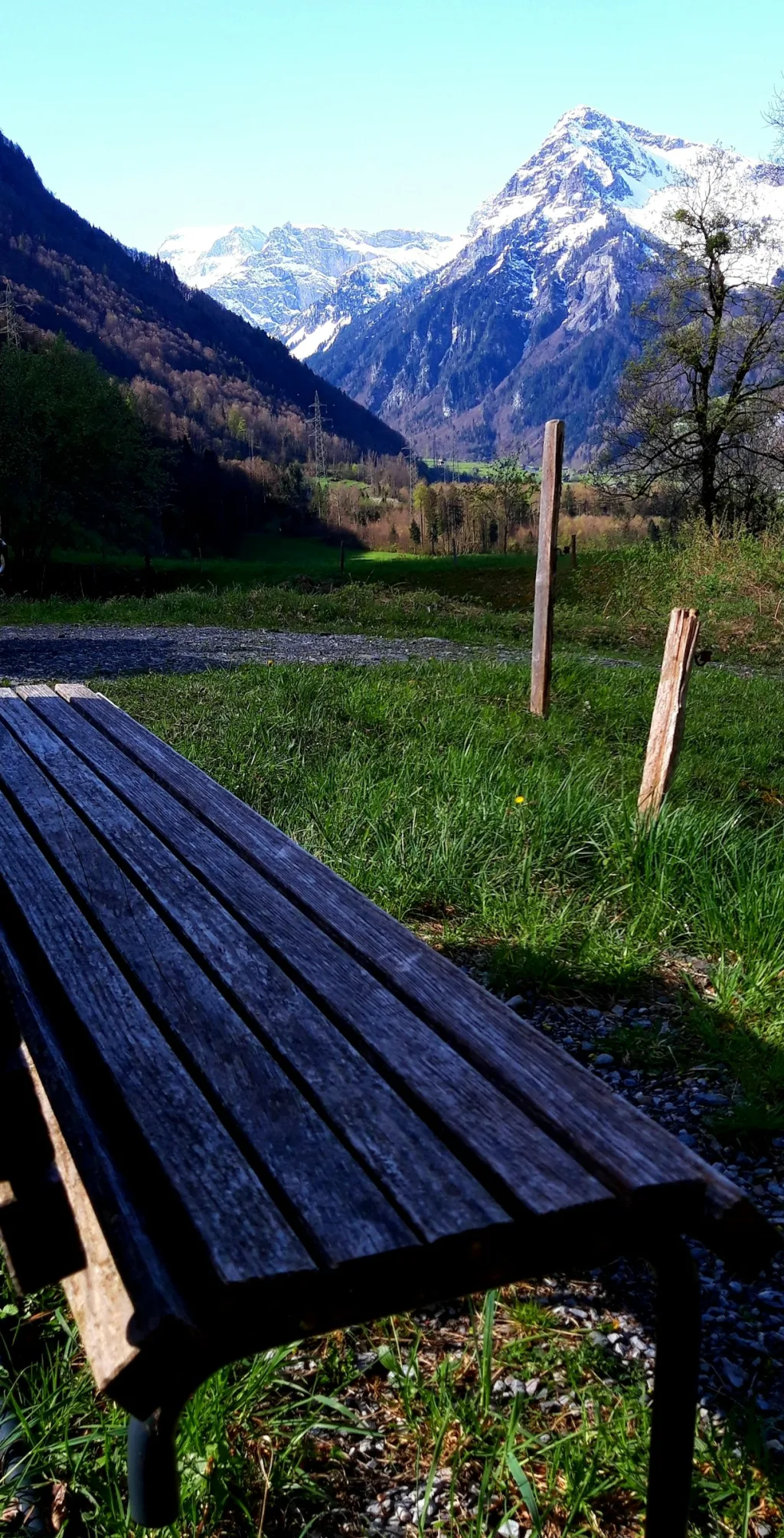 Camp Ortstockblick