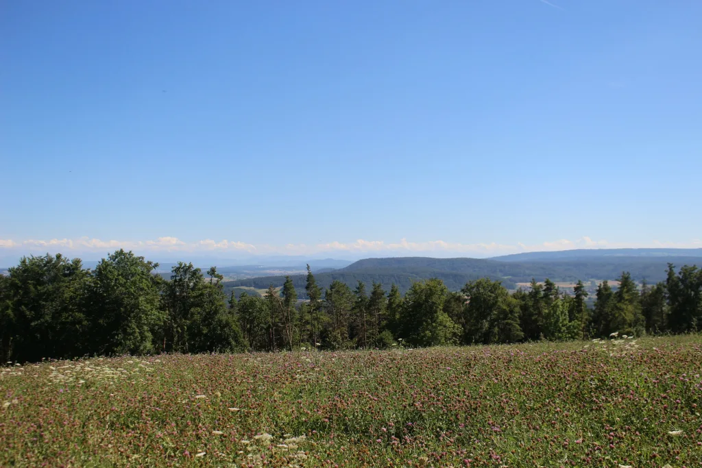 Klettgau Camp - im Eck