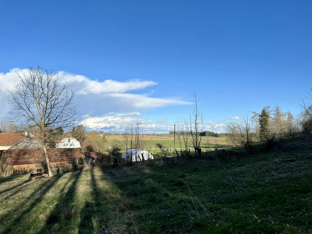 Obstgarten
