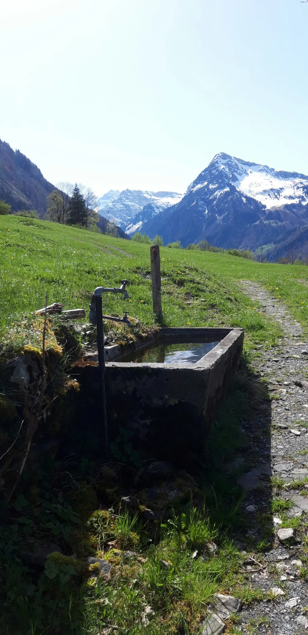 Camp Ortstockblick