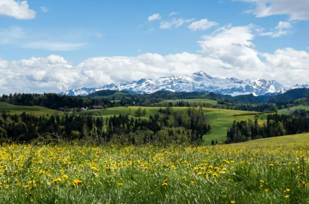 LilaLila Lodge, die grüne Insel