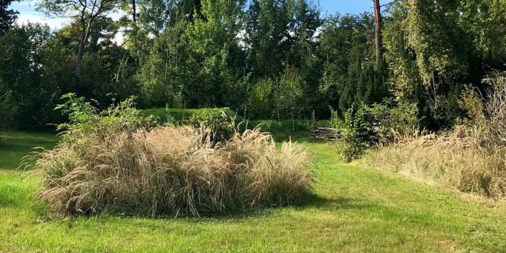 Oase am Weiher