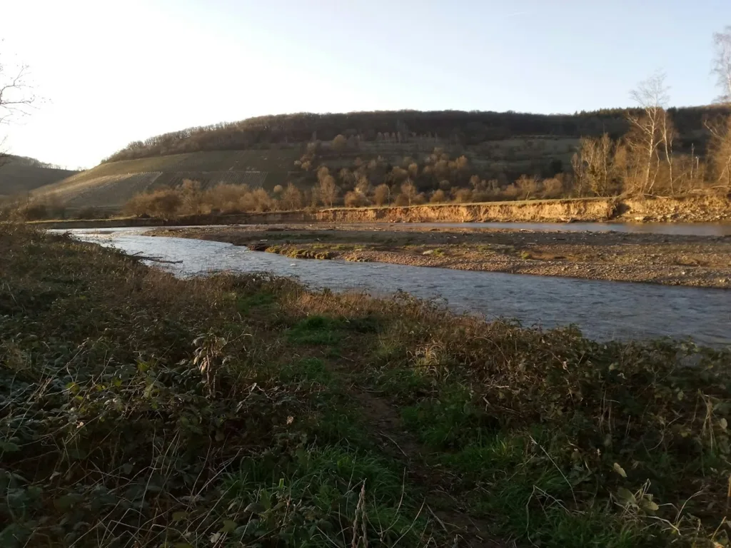 Obstwiese mit Ahrblick