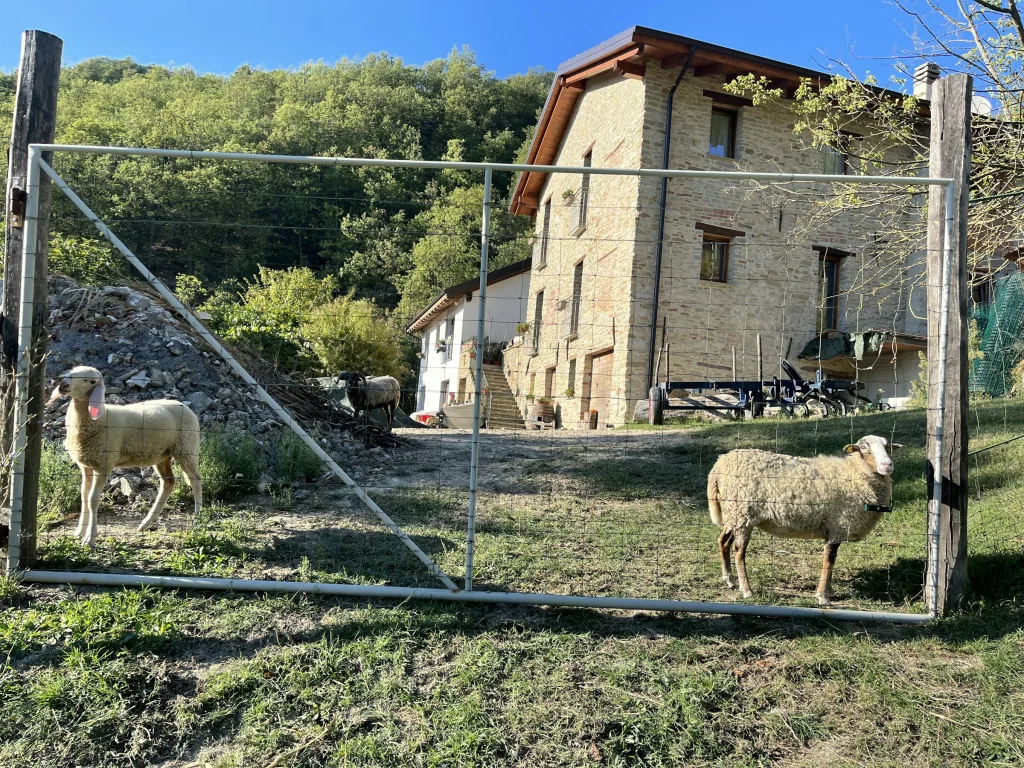 Il tesoro di MiRo