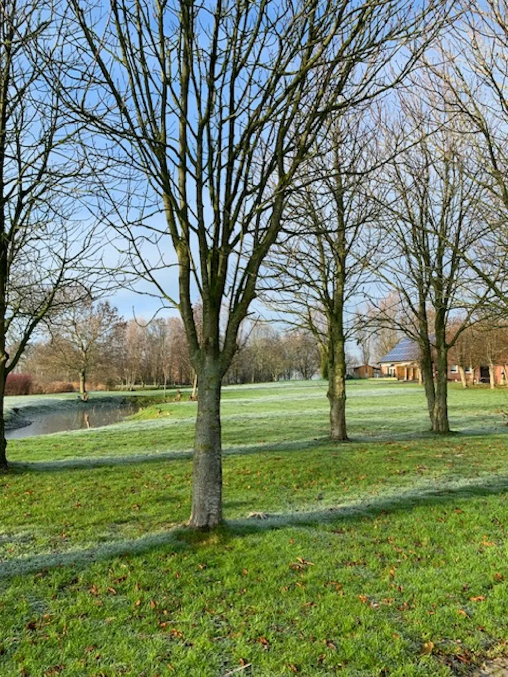 Küstennah am Weltnaturerbe