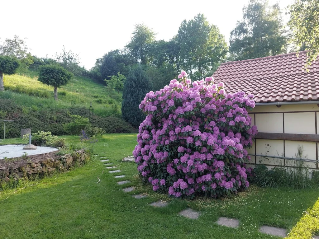 Idyllisch-sicherer Garten am Bach