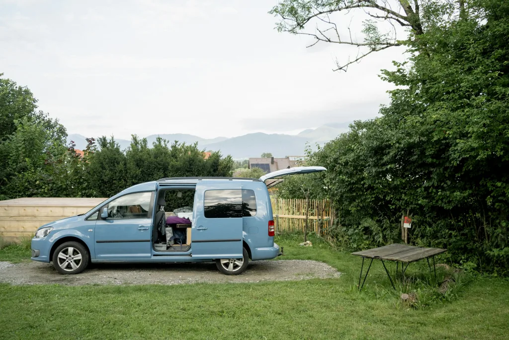 Wilder Garten mit Bergblick