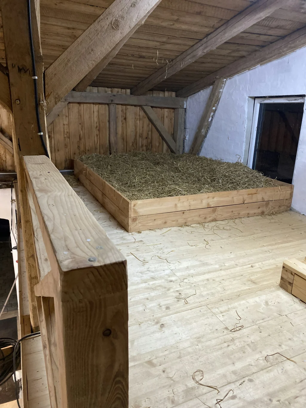 Kleine Hütte am Wald in Ostseenähe