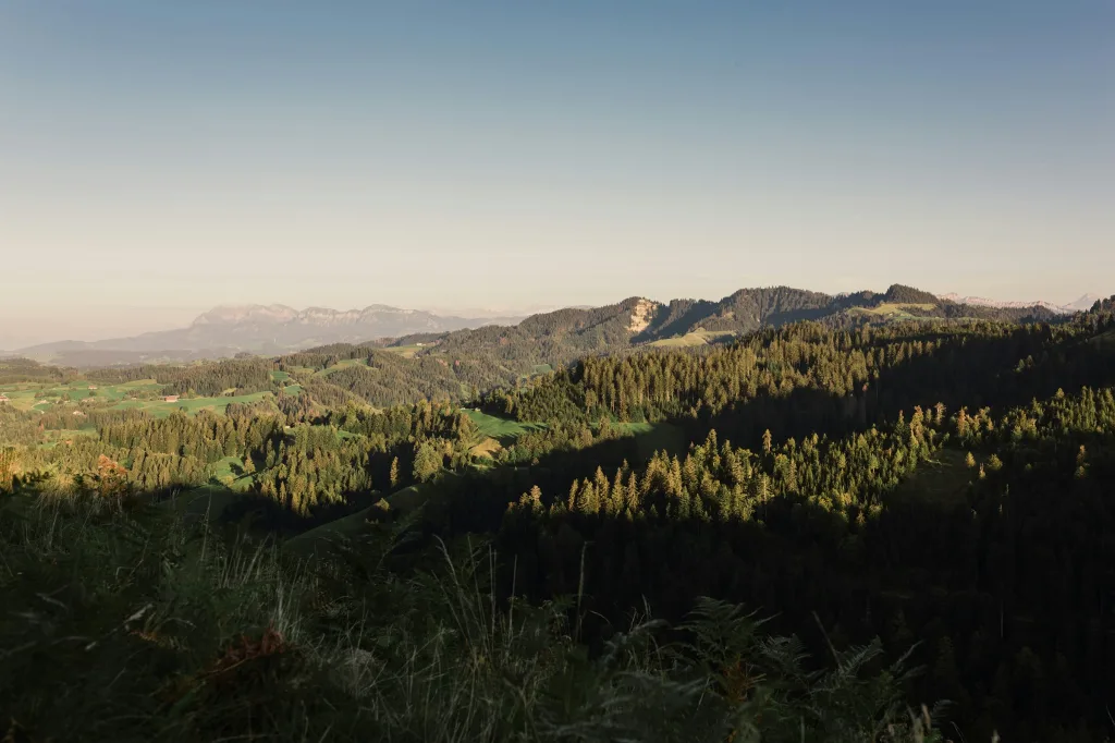 Alphütte Birbäumli