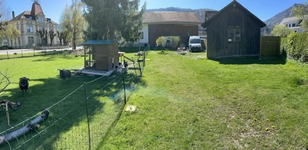 Camp SOAY