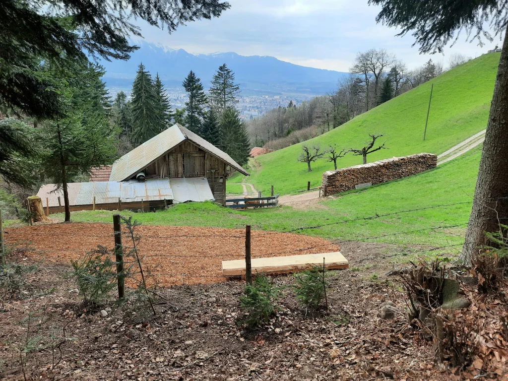 Camp Kelli