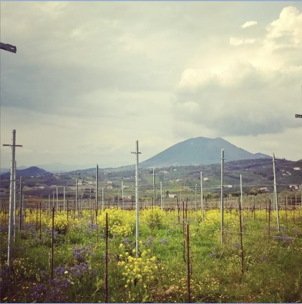 Camp Fosso degli Angeli