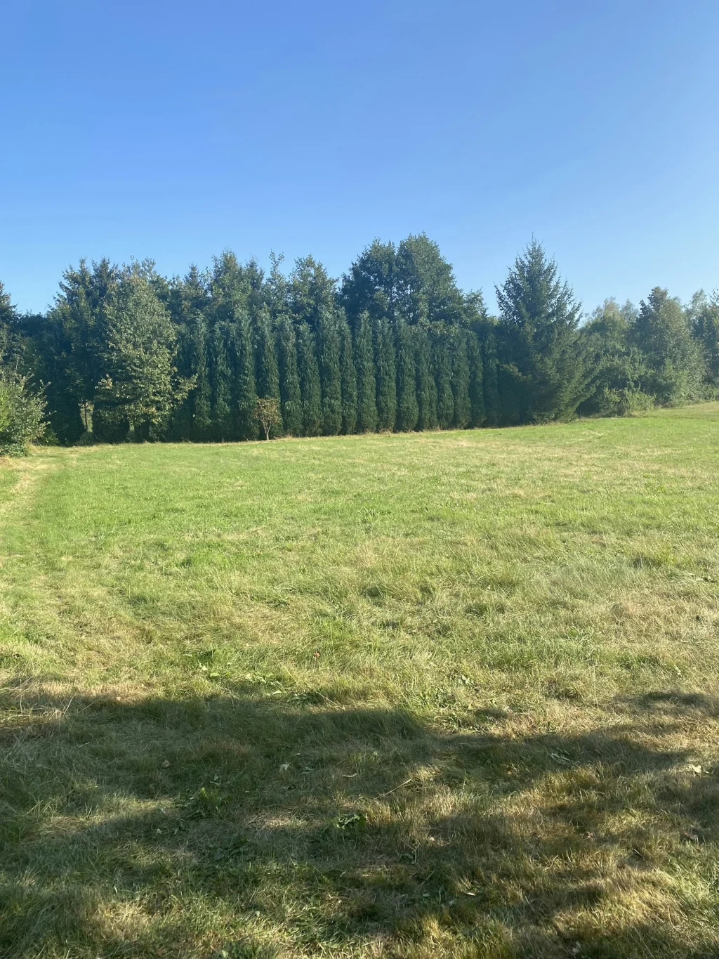 Camping am Lindenbaum