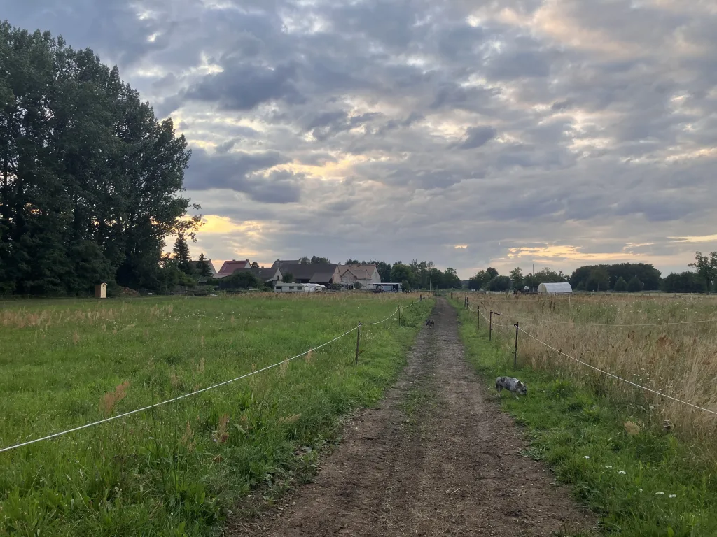 Blick vom Stellplatz zum Hof
