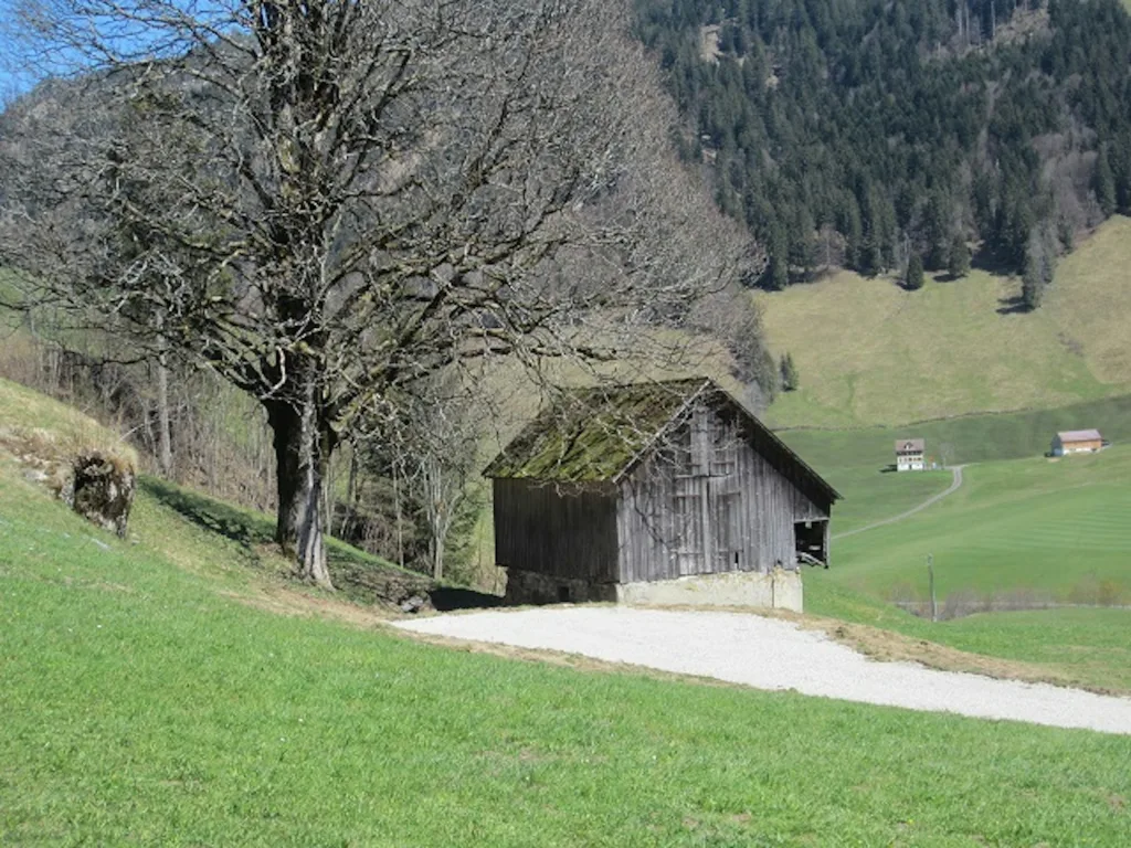 Camp Mattli-Ahorn