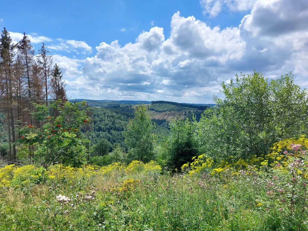 Urlaub an der Fachwerkhofbaustelle