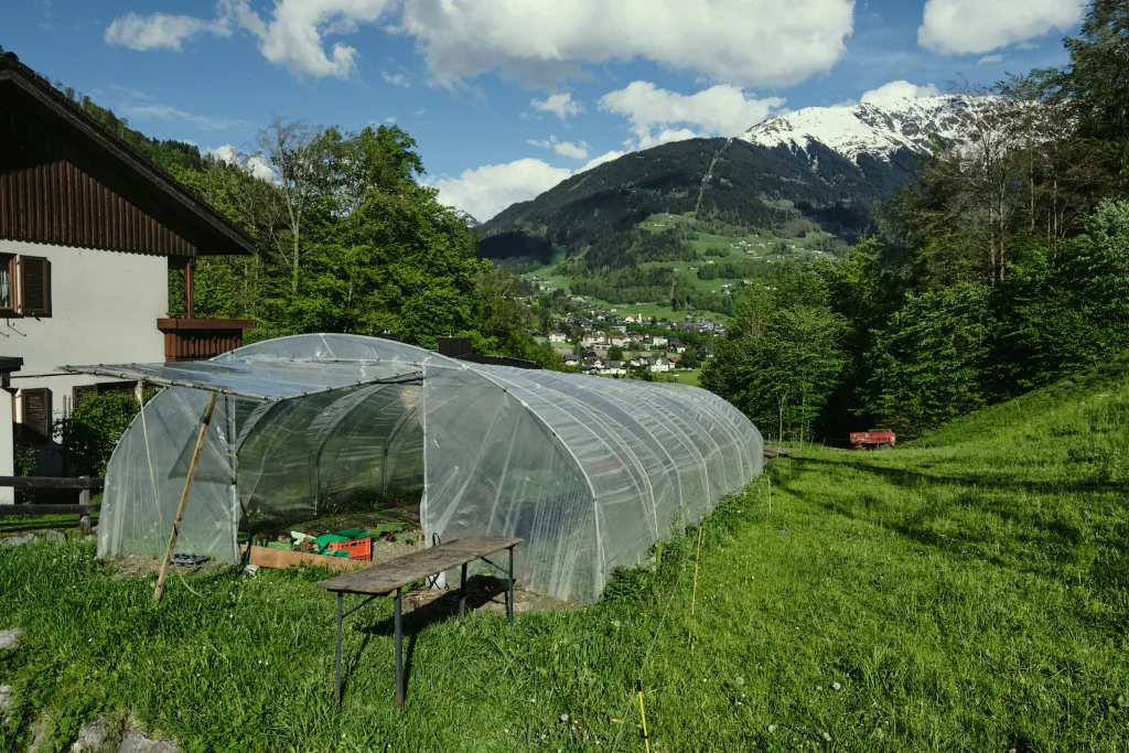 Bergpanorama am Bauernhof
