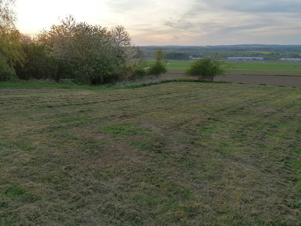 Ruhige Wiese im grünen