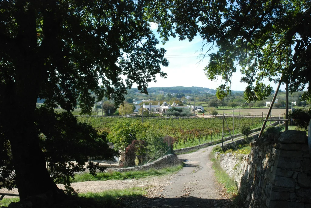 Camp Santoro