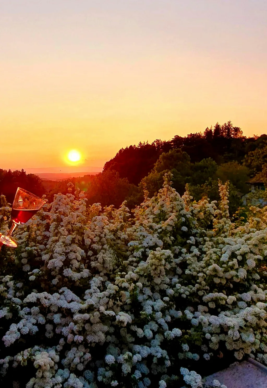 Blick auf den Jura