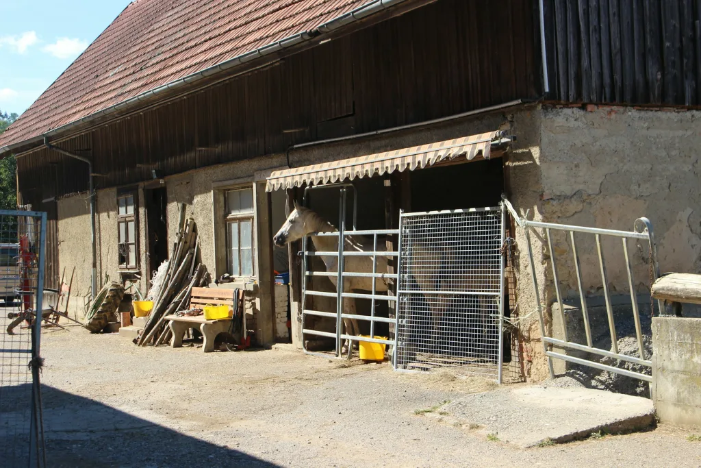 Klettgau Camp - im Eck