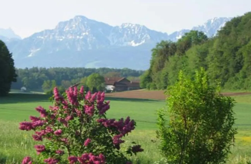 Abgeleg. Stellplatzt mit Bergblick