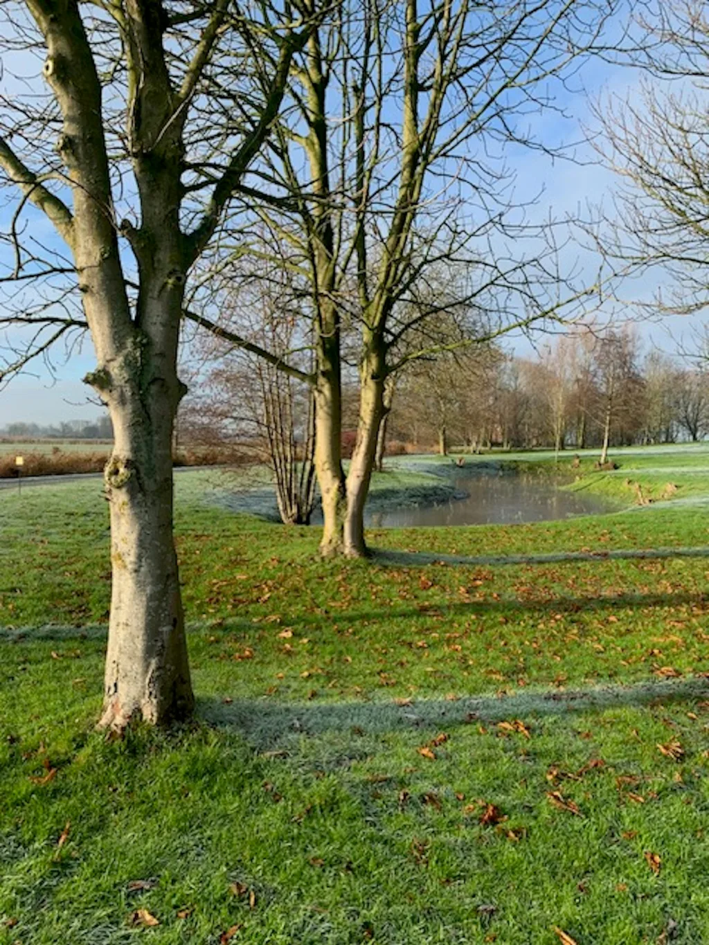 Küstennah am Weltnaturerbe
