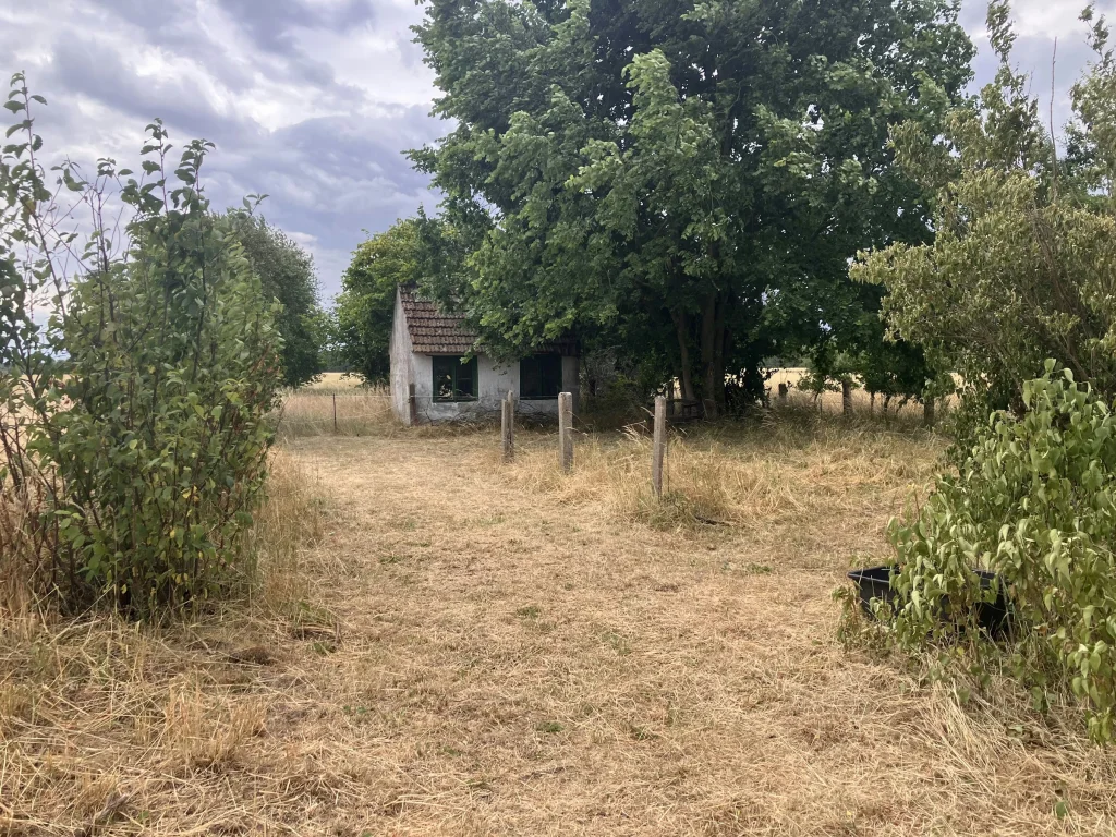 Kleine Westernranch - Naturcamp