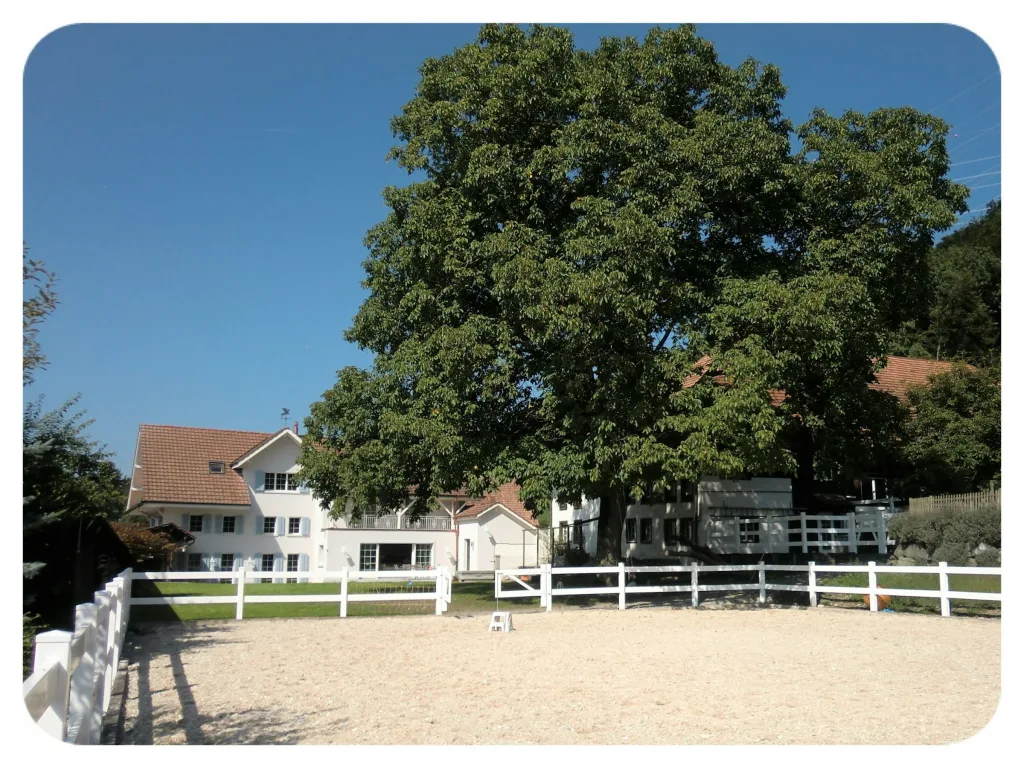 Landhaus Peters