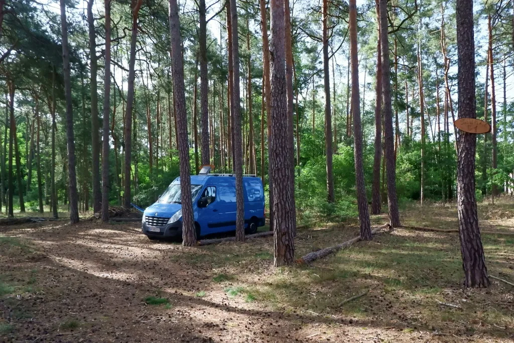 Schattiger Stellp. Wald, Groß Köris