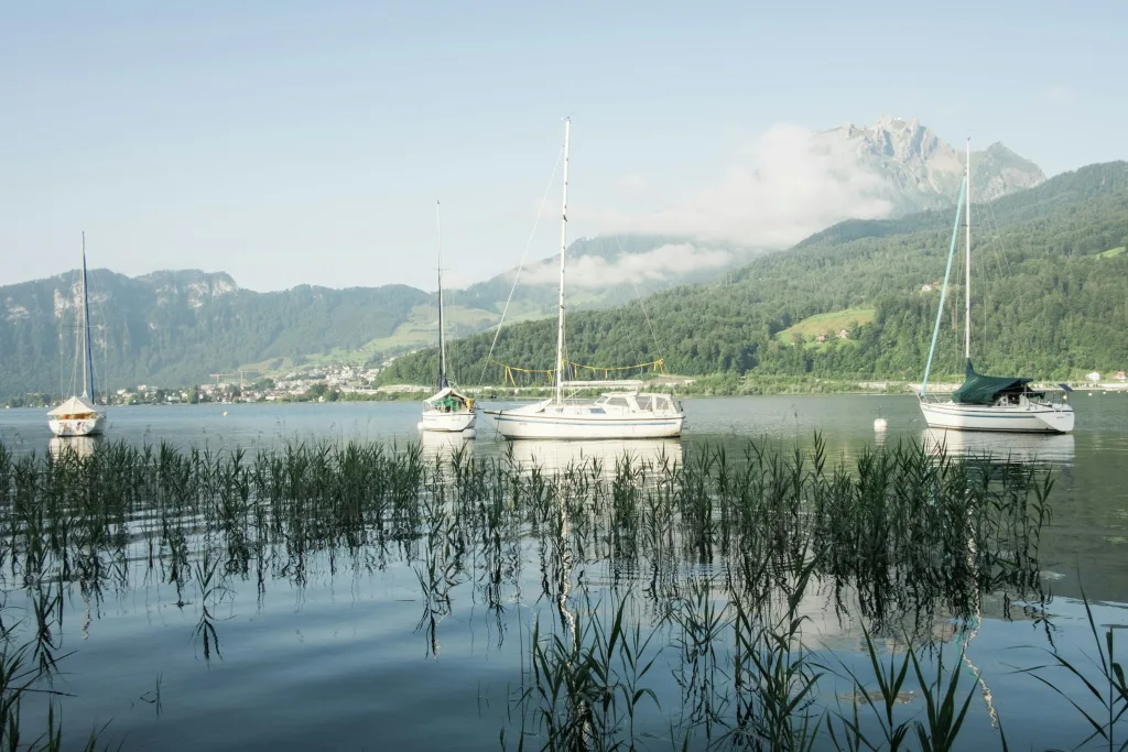 Biohof mit Pilatusblick