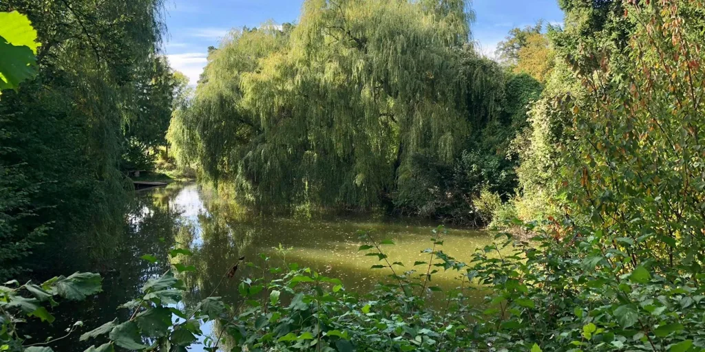 Oase am Weiher