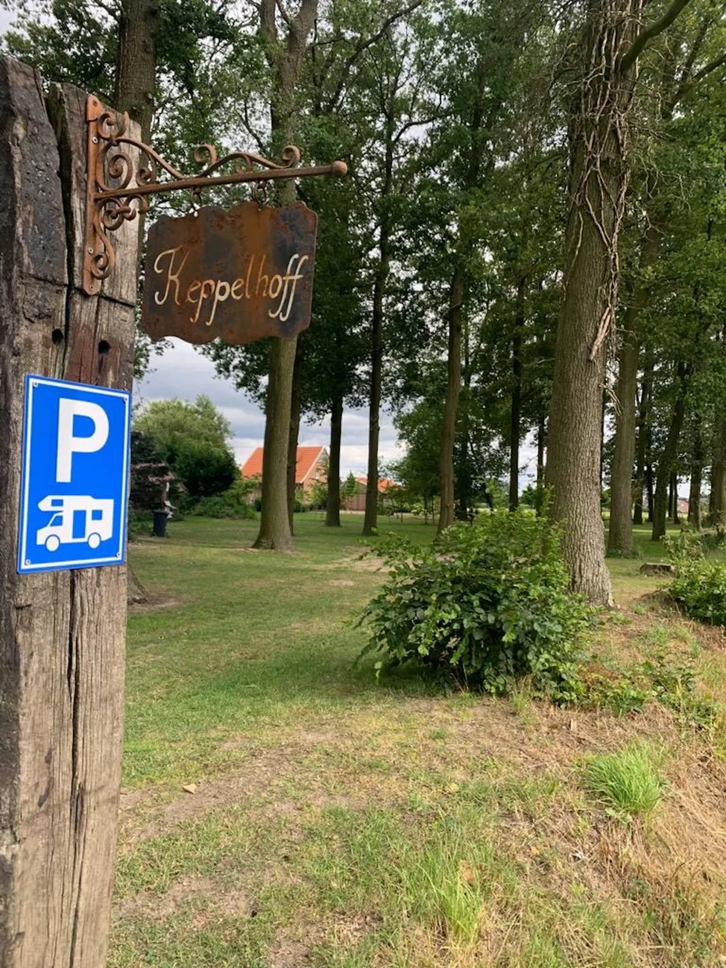 Stellplatz im Eichen Wald