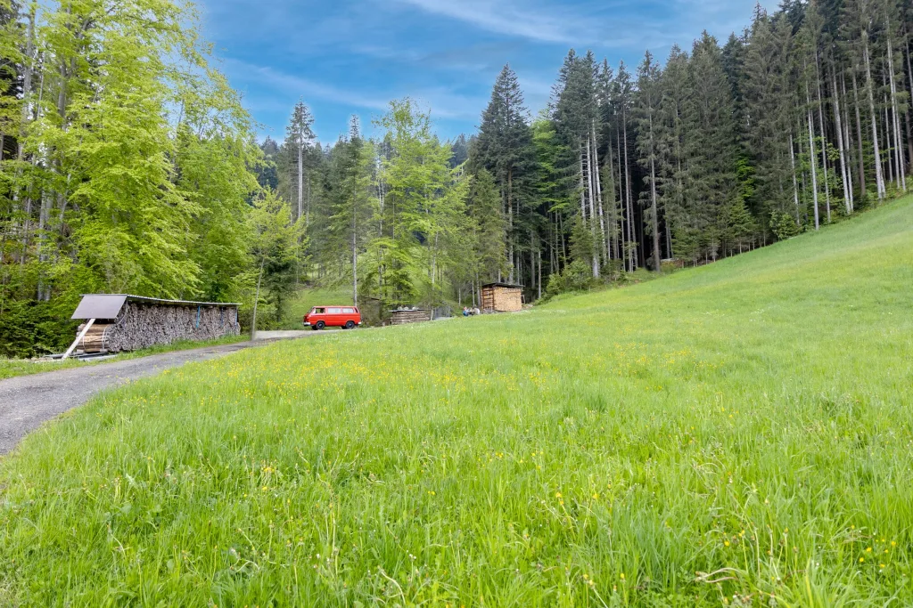 Camp Rehblick