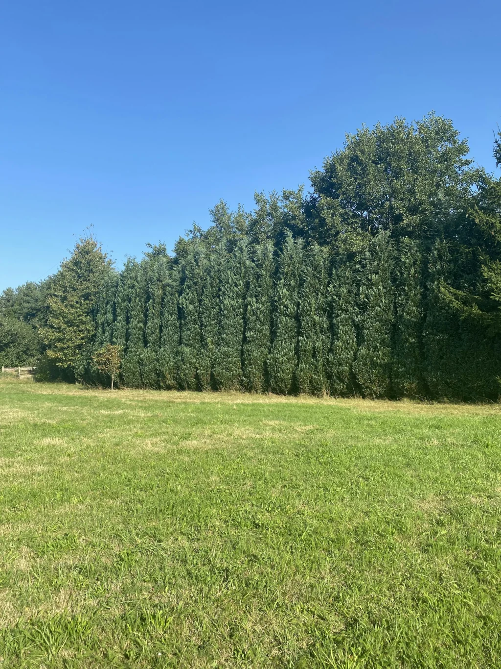 Camping am Lindenbaum