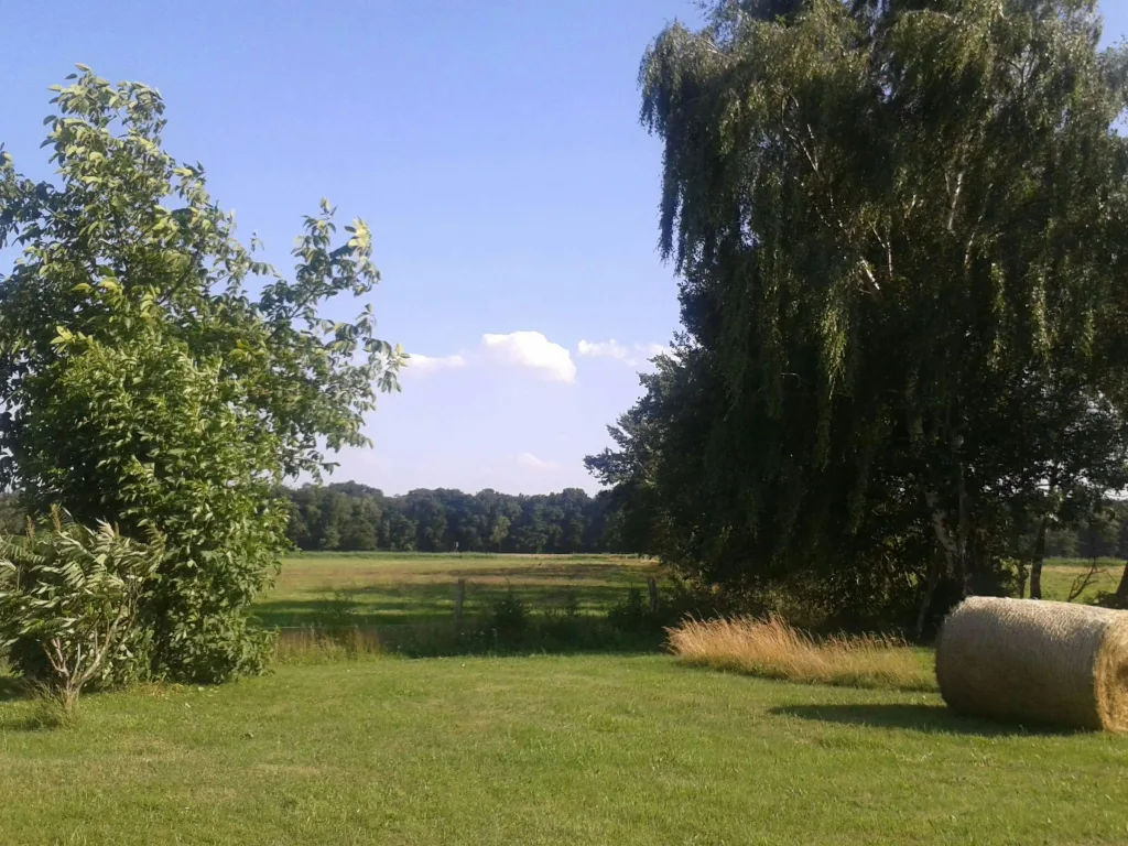 Wiesen-Camping-Natur-max.2 Zelte